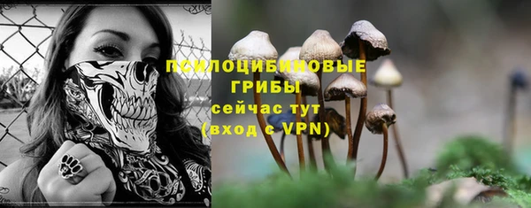 ALPHA PVP Алексин