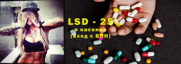 хмурый Алзамай