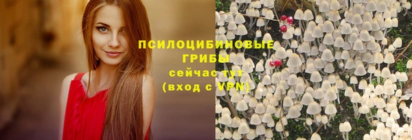 прущий лед Алексеевка